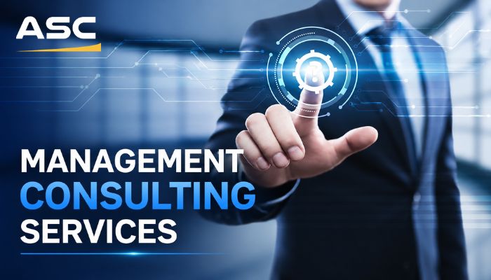 Management Consulting Services